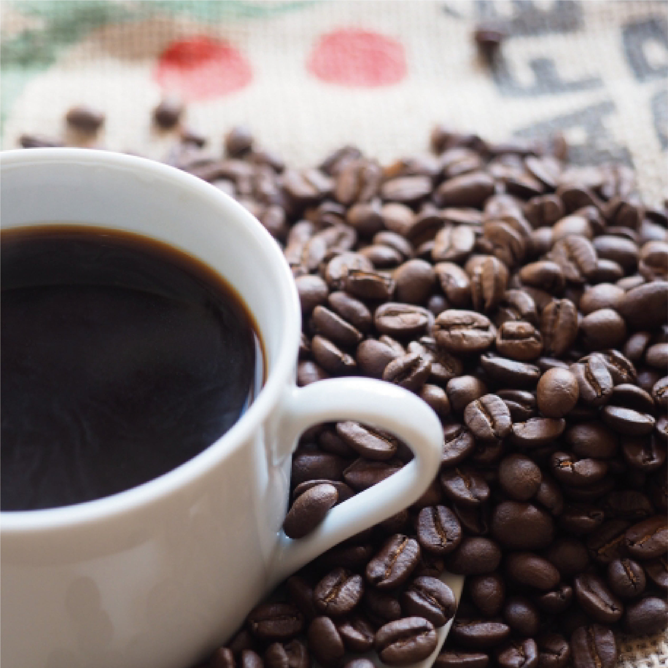 富士山珈琲 ゲデブ