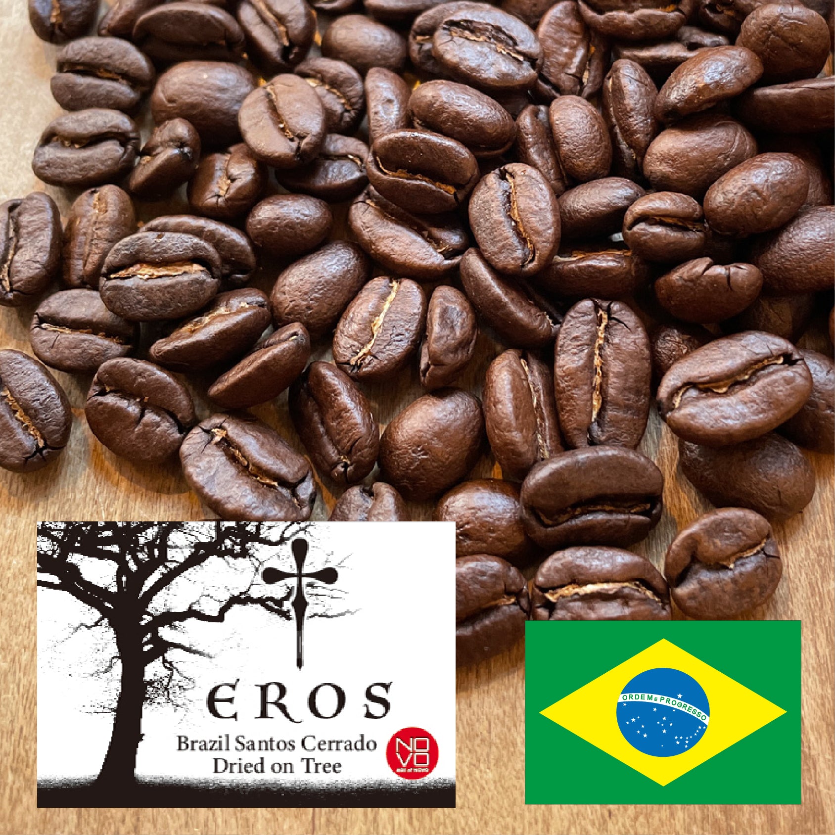 富士山珈琲 エロス