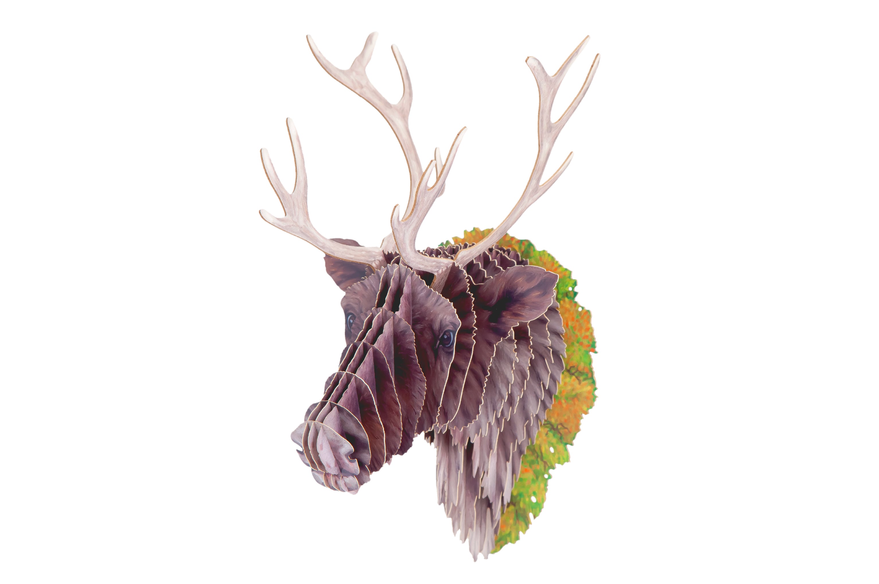 【作って飾れる9種の立体動物】アメリカアカシカ:ドイツ発 親子で楽しめる3Dペーパークラフト