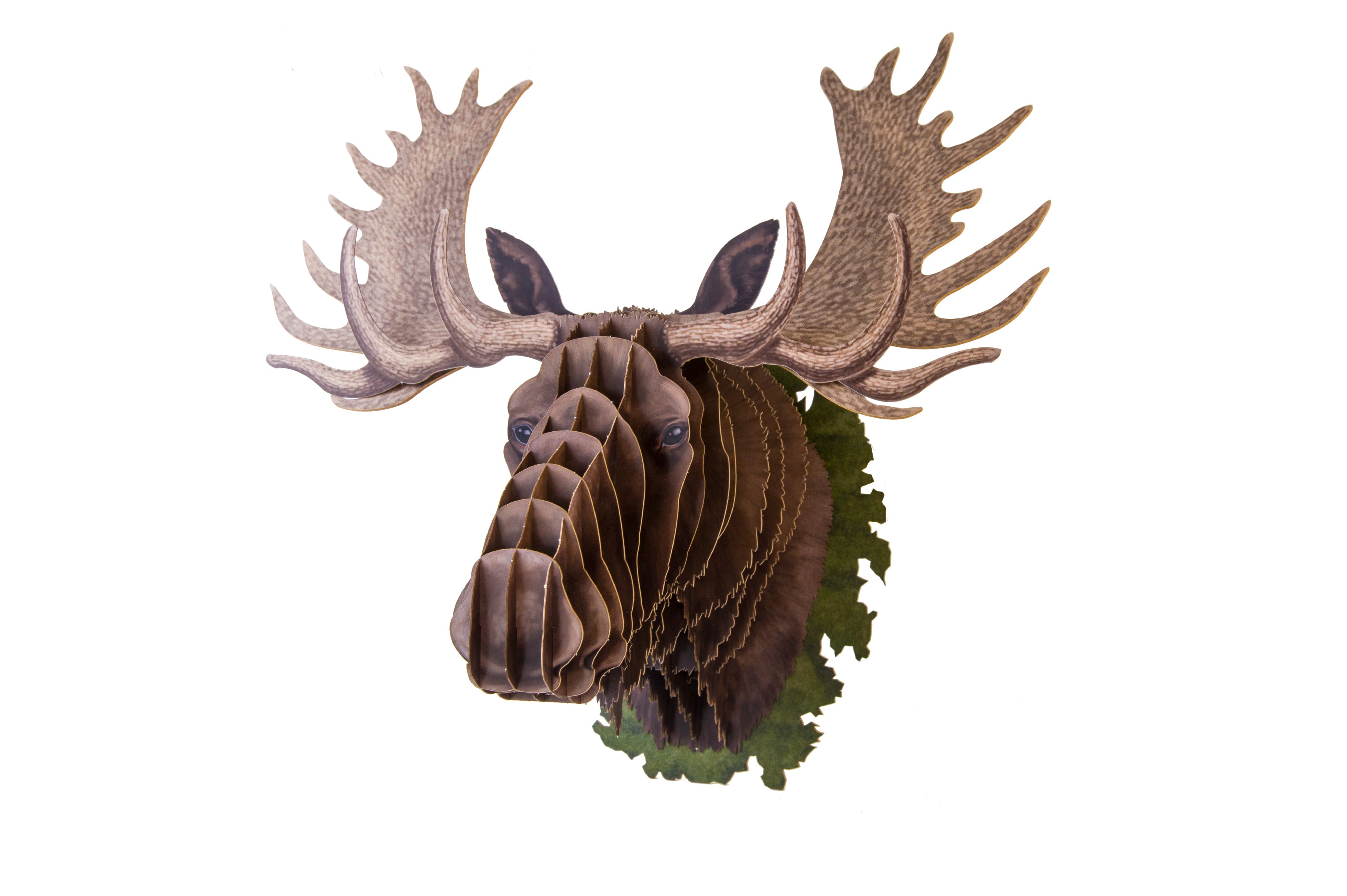 【作って飾れる9種の立体動物】ヘラジカ:ドイツ発 親子で楽しめる3Dペーパークラフト