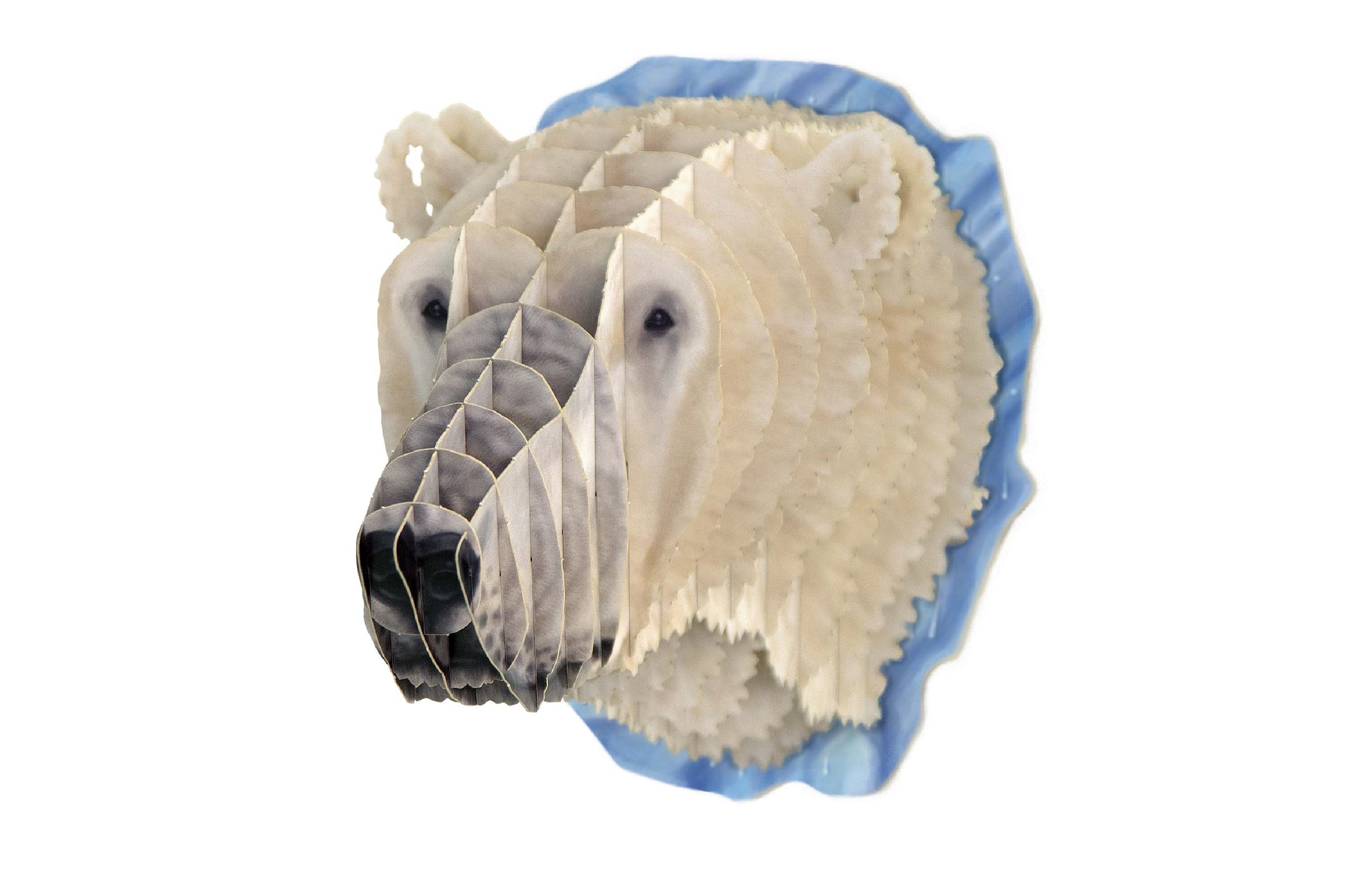 【作って飾れる9種の立体動物】ホッキョクグマ:ドイツ発 親子で楽しめる3Dペーパークラフト