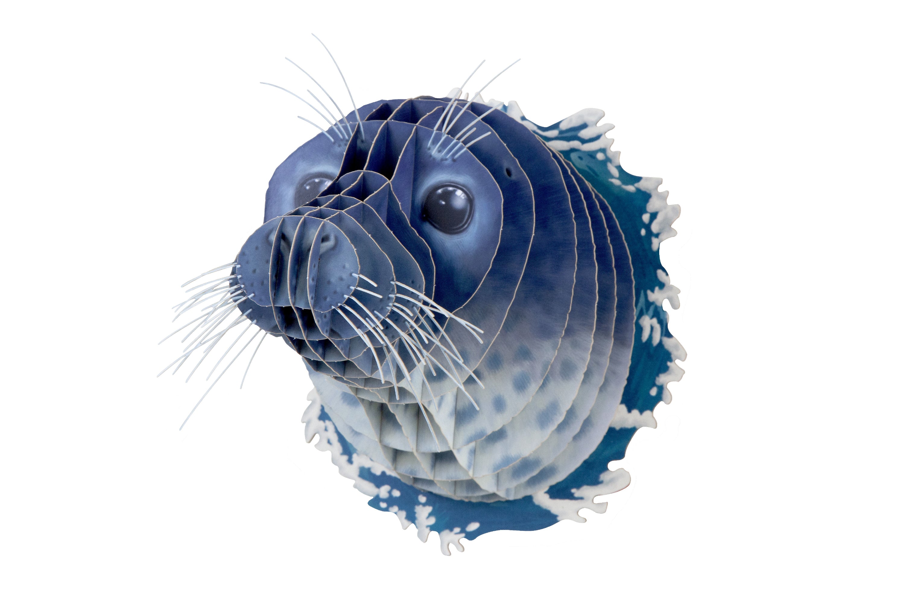 【作って飾れる9種の立体動物】アザラシ:ドイツ発 親子で楽しめる3Dペーパークラフト