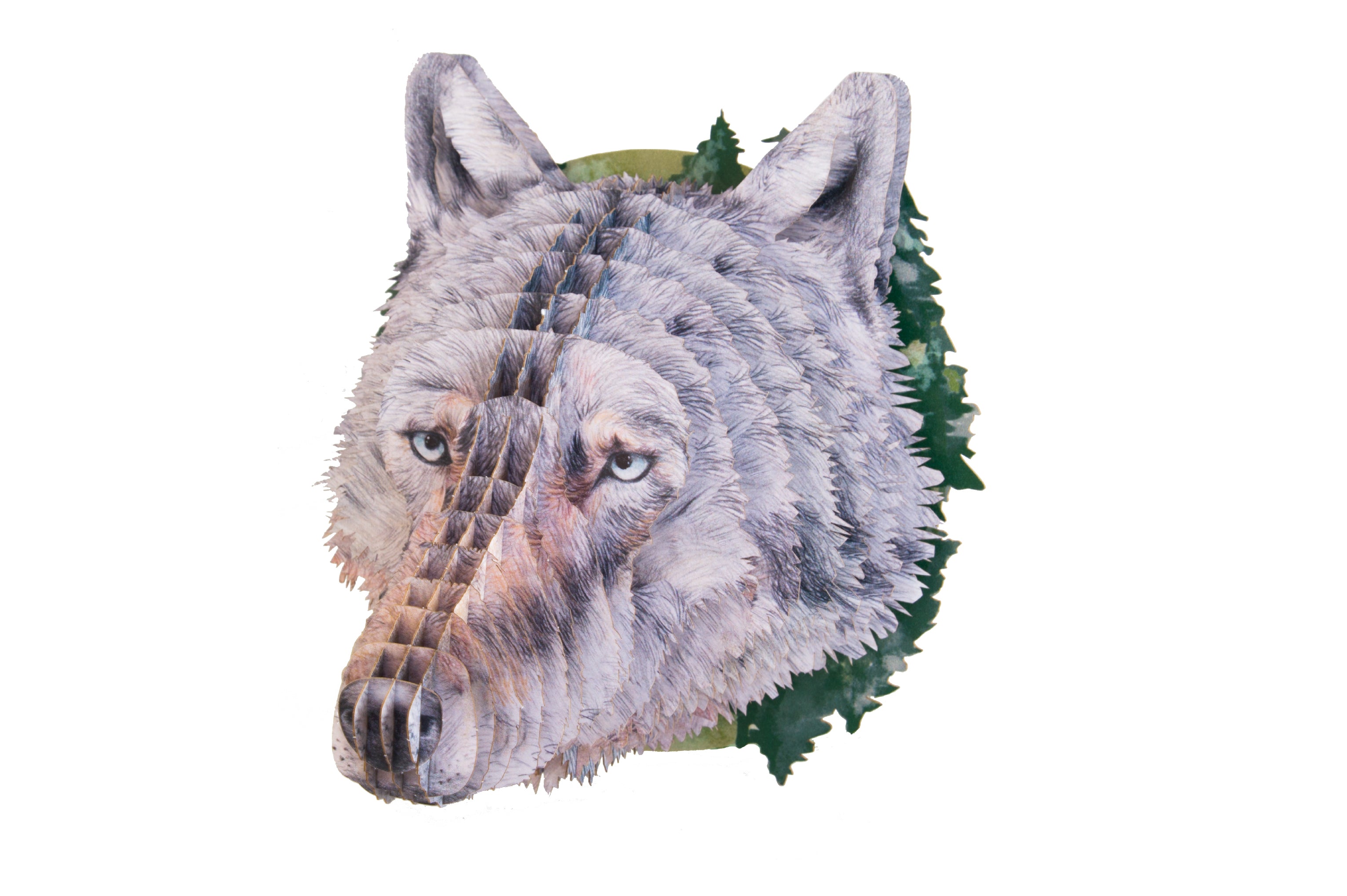 【作って飾れる9種の立体動物】オオカミ:ドイツ発 親子で楽しめる3Dペーパークラフト