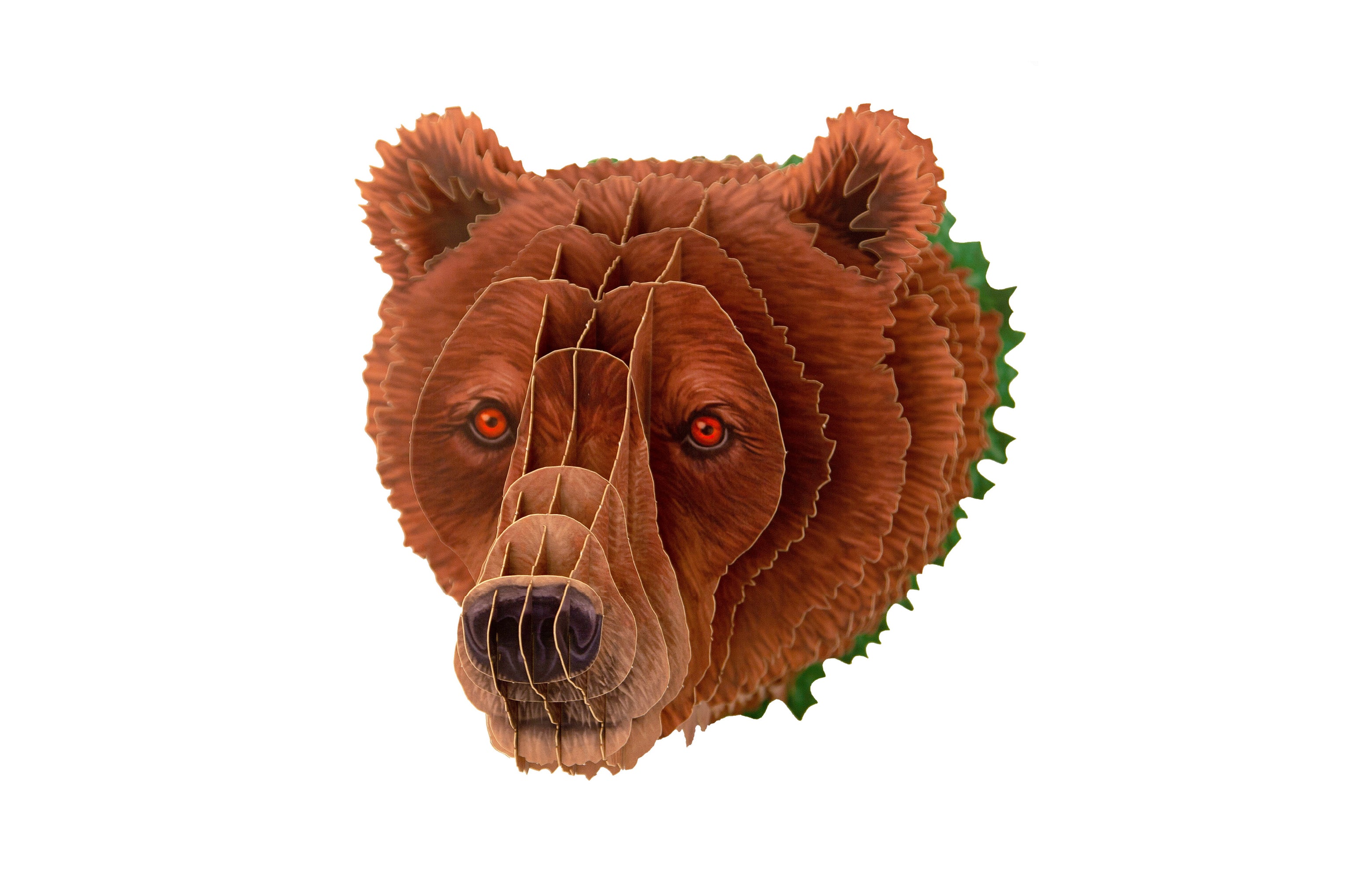 【作って飾れる9種の立体動物】ヒグマ:ドイツ発 親子で楽しめる3Dペーパークラフト