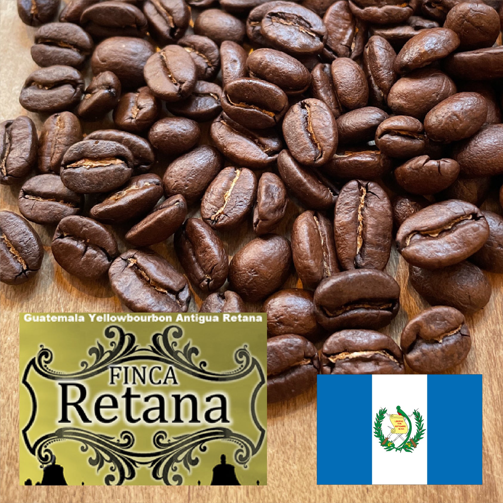 富士山珈琲 レタナイエローブルボン