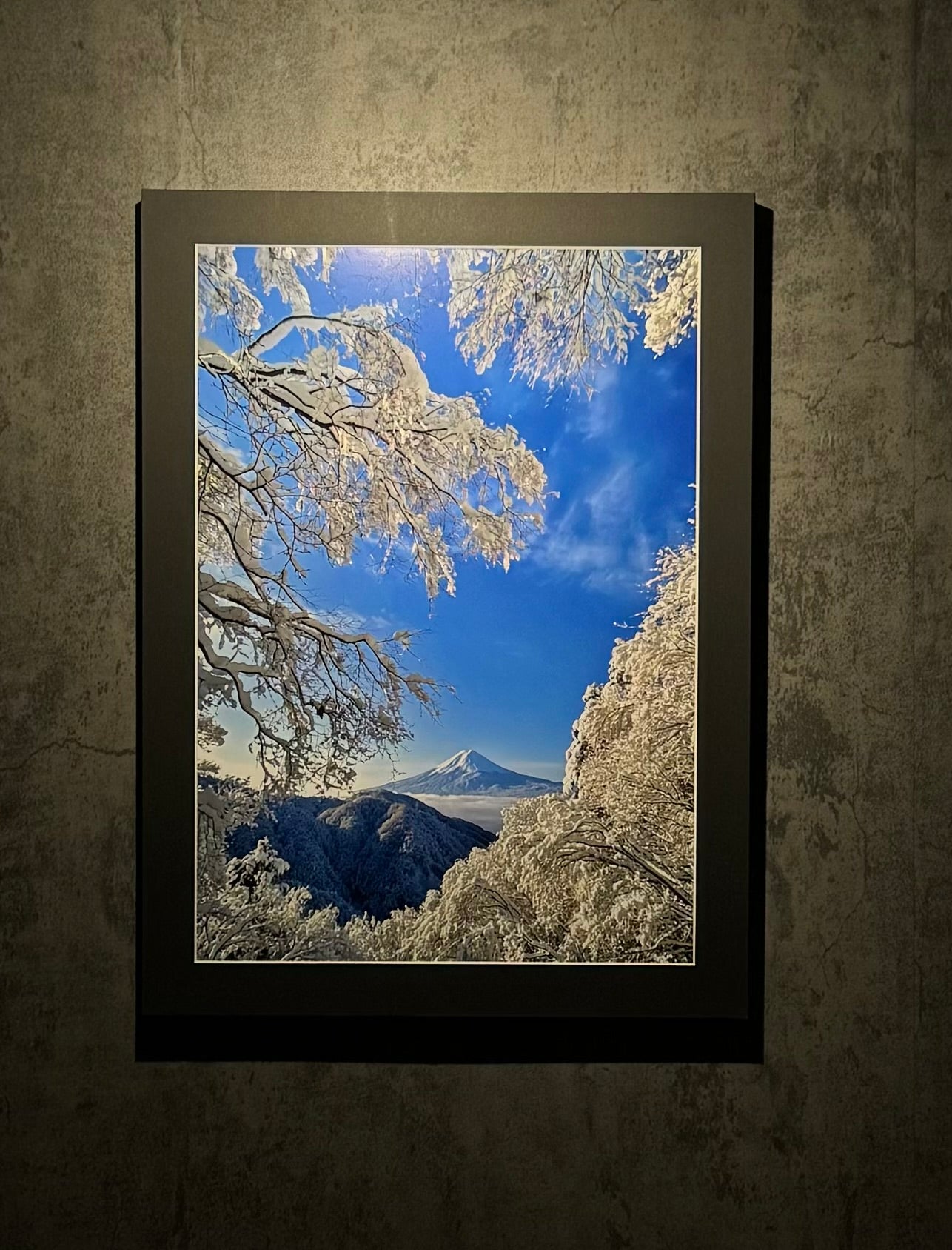 『記憶』雲海雪景色富士 太宰治(小説家)がこよなく愛した天下茶屋から