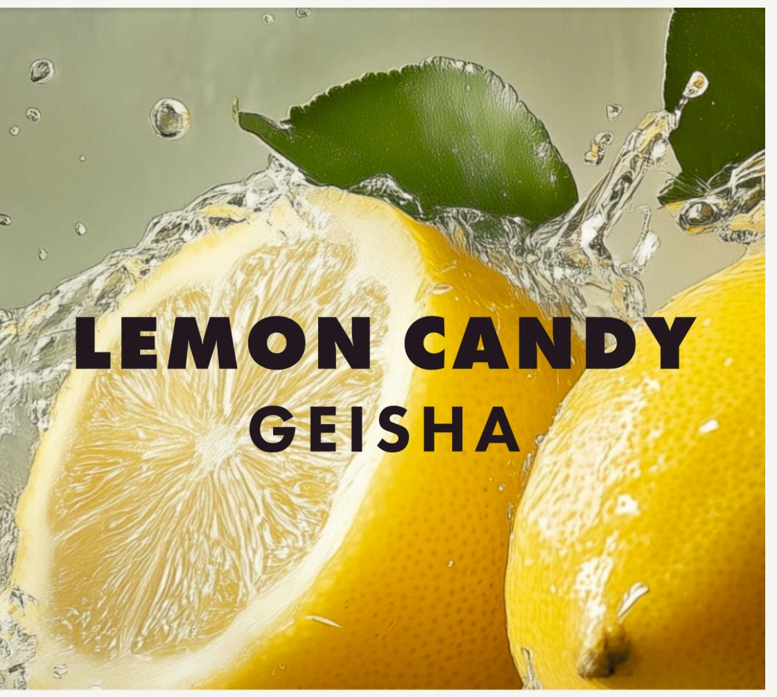 富士山珈琲 コロンビア ゲイシャ レモンキャンディ