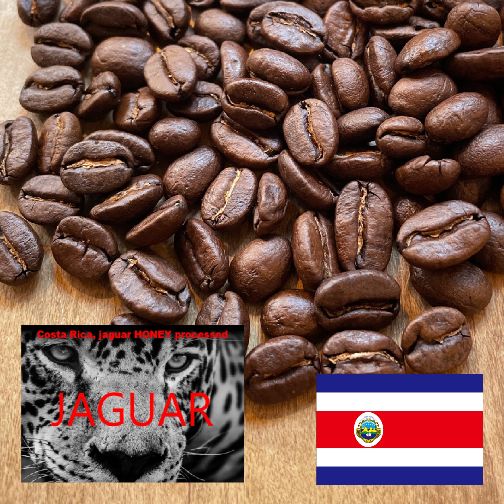 富士山珈琲　ジャガー